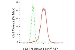 Flow cytometric analysis of FURIN expression in HeLa cells using FURIN antibody (ABIN7798668), 1:2,000). (Recombinant FURIN 抗体)
