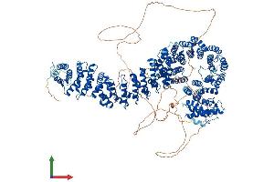 Protein Structure (PS) image for PDS5, Regulator of Cohesion Maintenance, Homolog B (PDS5B) (AA 1-1446) protein (His tag) (ABIN7563782)