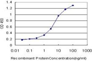Detection limit for recombinant GST tagged LAP3 is approximately 0. (LAP3 抗体  (AA 420-519))