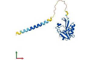 Protein Structure (PS) image for Killer Cell Lectin-Like Receptor Subfamily D, Member 1 (KLRD1) (AA 1-179) protein (His tag) (ABIN7548828)