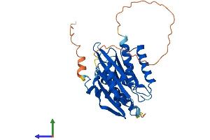 Protein Structure (PS) image for Impact Homolog (IMPACT) (AA 1-320) protein (His tag) (ABIN7554184)