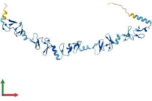 AlphaFold protein structure predicition of Human Recombinant LIMS2 Protein, UniprotID Q7Z4I7