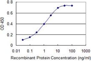 Detection limit for recombinant GST tagged KIT is 0. (KIT 抗体  (AA 41-140))