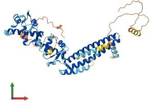 AlphaFold protein structure predicition of Mouse Recombinant Chmp7 Protein, UniprotID Q8R1T1
