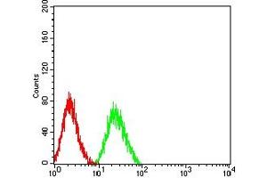Flow cytometric analysis of HL-60 cells using CD322 mouse mAb (green) and negative control (red). (JAM2 抗体  (AA 29-238))