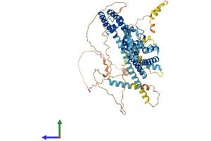Protein Structure (PS) image for Potassium Voltage-Gated Channel, Shal-Related Subfamily, Member 1 (Kcnd1) (AA 1-651) protein (His tag) (ABIN7556877)