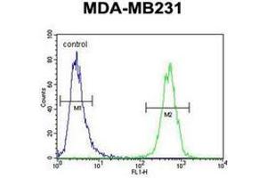 Flow cytometric analysis of MDA-MB231 cells using AP52042PU-N (right histogram) compared to a negative control cell (left histogram). (HHLA2 抗体  (N-Term))