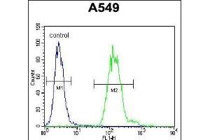 EII Antibody (C-term) 11233b flow cytometric analysis of A549 cells (right histogram) compared to a negative control cell (left histogram). (TDP2 抗体  (C-Term))