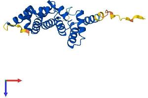 Protein Structure (PS) image for Armadillo Repeat Containing 7 (ARMC7) (AA 1-198) protein (His tag) (ABIN7552245)