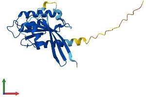 AlphaFold protein structure predicition of Human Recombinant RAB29 Protein, UniprotID O14966