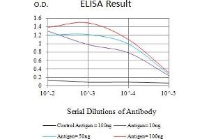 Black line: Control Antigen (100 ng),Purple line: Antigen (10 ng), Blue line: Antigen (50 ng), Red line:Antigen (100 ng) (GGT1 抗体  (AA 381-470))