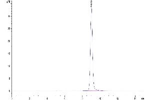 Size-exclusion chromatography-High Pressure Liquid Chromatography (SEC-HPLC) image for Gastric Inhibitory Polypeptide (GIP) (AA 22-93) protein (His tag) (ABIN7274746)