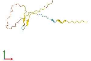Protein Structure (PS) image for Family with Sequence Similarity 229, Member B (FAM229B) (AA 1-80) protein (Fc Tag) (ABIN7547584)