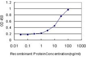 Detection limit for recombinant GST tagged HIPK1 is approximately 0. (HIPK1 抗体  (AA 330-430))