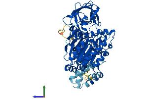 AlphaFold protein structure predicition of Mouse Recombinant Pole2 Protein, UniprotID O54956 (POLE2 Protein (AA 1-527) (His tag))