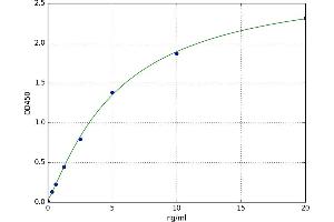 Estrogen-Related Receptor gamma (ESRRG) ELISA Kit