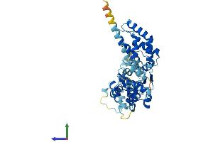 Protein Structure (PS) image for Origin Recognition Complex, Subunit 4 (ORC4) (AA 1-436) protein (His tag) (ABIN7550326)