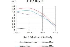 Black line: Control Antigen (100 ng),Purple line: Antigen (10 ng), Blue line: Antigen (50 ng), Red line:Antigen (100 ng) (FcRn 抗体  (AA 24-297))