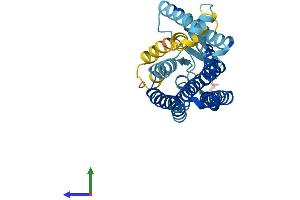 AlphaFold protein structure predicition of Human Recombinant OR10J4 Protein, UniprotID P0C629 (OR10J4 Protein (AA 1-311) (His tag))