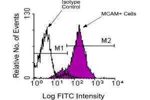 Flow Cytometry (FACS) image for anti-Melanoma Cell Adhesion Molecule (MCAM) antibody (ABIN371423) (MCAM 抗体)