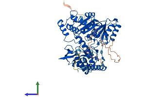 Protein Structure (PS) image for serine Palmitoyltransferase, Long Chain Base Subunit 2 (SPTLC2) (AA 1-560) protein (His tag) (ABIN7556792)