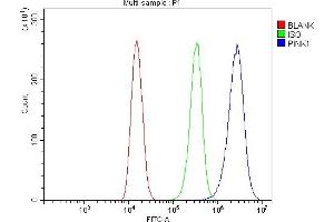 Flow Cytometry analysis of 293T cells using anti-PINK1 antibody (ABIN7599749).