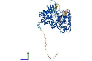 Protein Structure (PS) image for ARP8 Actin-Related Protein 8 Homolog (ACTR8) (AA 1-624) protein (His tag) (ABIN7564693)
