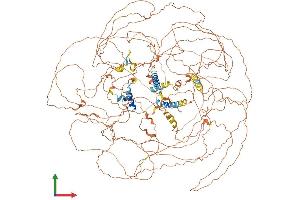 Protein Structure (PS) image for B-Cell CLL/lymphoma 9-Like (BCL9L) (AA 1-1494) protein (His tag) (ABIN7564002)