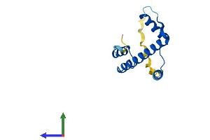 Protein Structure (PS) image for Centromere Protein A (CENPA) (AA 1-134) protein (His tag) (ABIN7562283)
