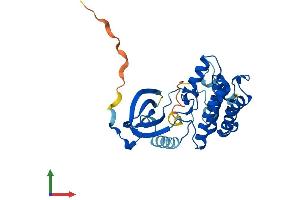 Protein Structure (PS) image for NEK7 (NEK7) (AA 1-302) protein (His tag) (ABIN7561458)