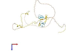 ZNF265 Protein (AA 1-330) (His tag)