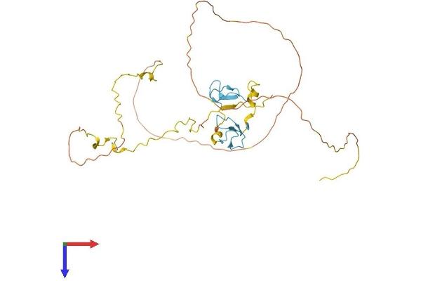 ZNF265 Protein (AA 1-330) (His tag)