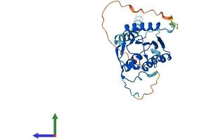 Protein Structure (PS) image for Phospholipase D Family, Member 6 (PLD6) (AA 1-252) protein (His tag) (ABIN7555022)