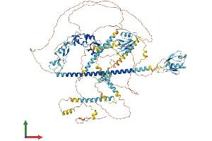 AlphaFold protein structure predicition of Mouse Recombinant Pdzrn3 Protein, UniprotID Q69ZS0