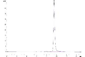 The purity of Human ENPP-3(48-157) is greater than 95 % as determined by SEC-HPLC. (ENPP3 Protein (AA 48-157) (His-Avi Tag))