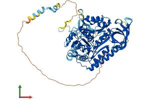 Protein Structure (PS) image for CDK5 Regulatory Subunit Associated Protein 1 (CDK5RAP1) (AA 1-588) protein (His tag) (ABIN7558886)