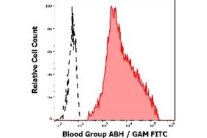 Separation of human erythrocytes from blood group A donor (red-filled) from erythrocytes from blood group 0 donor (black-dashed) in flow cytometry analysis (surface staining) of human peripheral whole blood samples using anti-blood group ABH (HE-10) antibody (culture supernatant, GAM FITC).