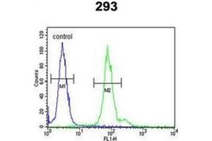 Flow cytometric analysis of 293 cells using ID4 Antibody (N-term) Cat.