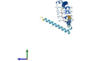 Protein Structure (PS) image for Leucine Rich Repeat Containing 59 (LRRC59) (AA 1-307) protein (His tag) (ABIN7549095)