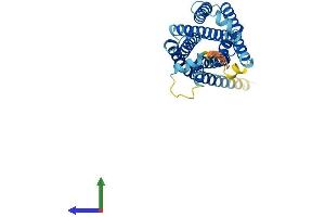 Protein Structure (PS) image for MAS-Related GPR, Member D (MRGPRD) (AA 1-321) protein (His tag) (ABIN7549528)