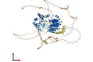 Protein Structure (PS) image for DEAD (Asp-Glu-Ala-Asp) Box Polypeptide 20 (DDX20) (AA 1-825) protein (His tag) (ABIN7565105)