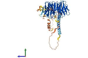 Protein Structure (PS) image for POC1 Centriolar Protein Homolog B (POC1B) (AA 1-478) protein (His tag) (ABIN7550839)
