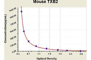 Thromboxane B2 (TXB2) ELISA Kit