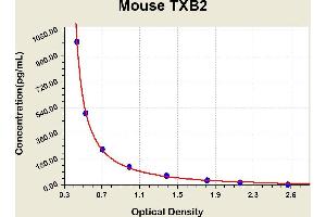 Diagramm of the ELISA kit to detect Mouse TXB2with the optical density on the x-axis and the concentration on the y-axis. (Thromboxane B2 ELISA 试剂盒)