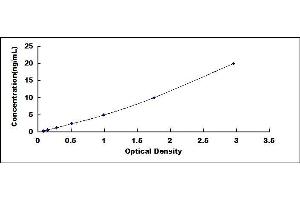 Typical standard curve (Asparagine Synthetase ELISA 试剂盒)