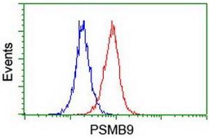 Image no. 3 for anti-Proteasome (Prosome, Macropain) Subunit, beta Type, 9 (Large Multifunctional Peptidase 2) (PSMB9) (AA 21-219) antibody (ABIN1491192)