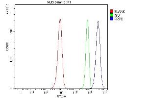 Flow Cytometry analysis of Hela cells using anti-RRP8 antibody (ABIN7600459). (RRP8 抗体  (AA 199-456))