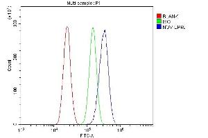 Flow Cytometry analysis of U87 cells using anti-NOV/CCN3 antibody (ABIN5518938).
