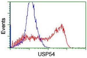 Image no. 2 for anti-Ubiquitin Specific Peptidase 54 (USP54) (AA 358-700) antibody (ABIN1491453) (USP54 抗体  (AA 358-700))