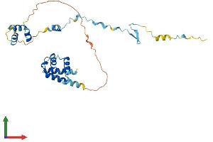 Protein Structure (PS) image for CUE Domain Containing 2 (CUEDC2) (AA 1-287) protein (His tag) (ABIN7546784)
